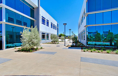 nhmc03.jpg